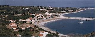 o8onoi99.jpg (10364 bytes)